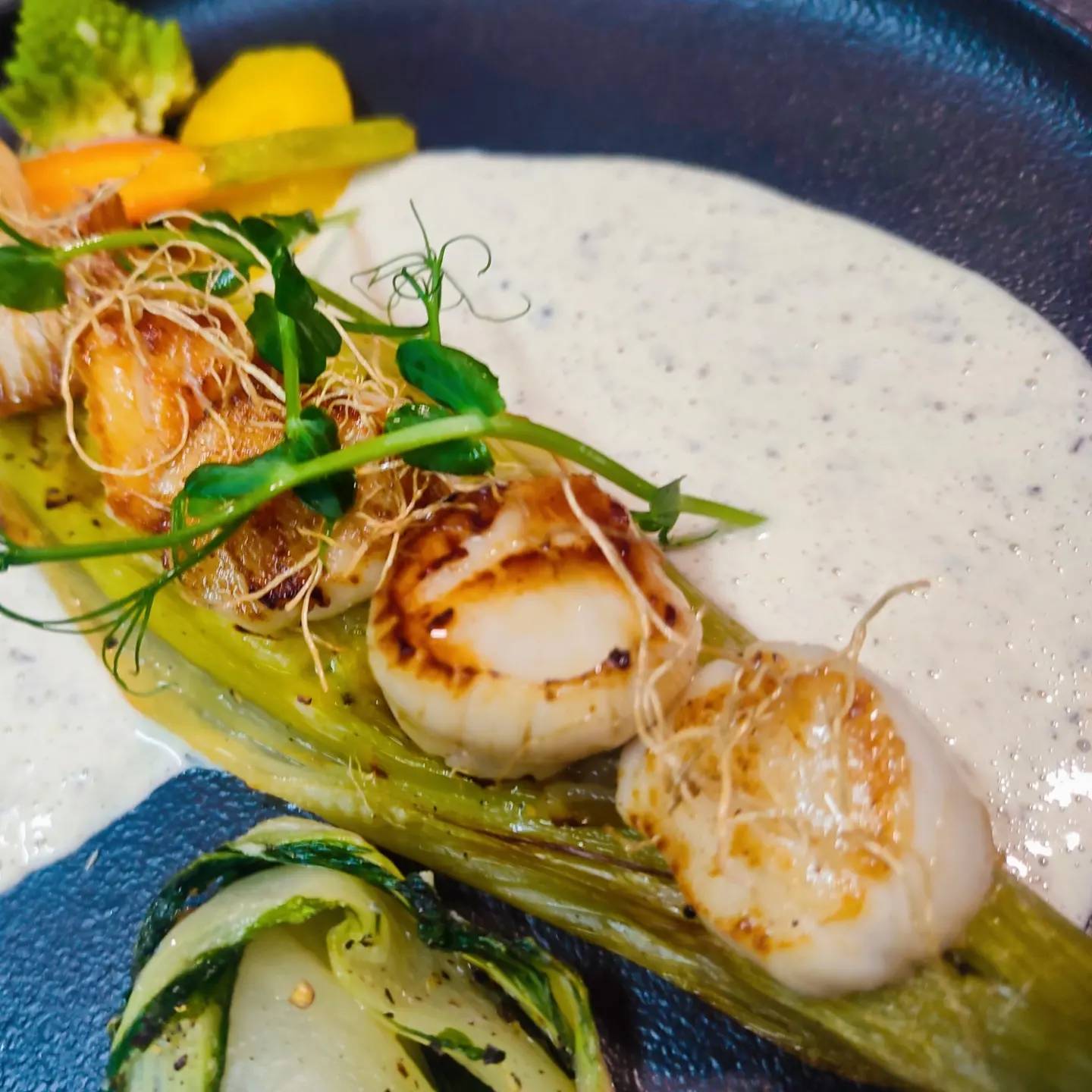 Quelques plats Toul 12